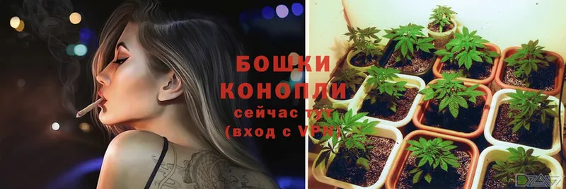 купить   Видное  Канабис марихуана 